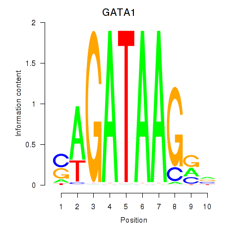 SeqLogo of GATA1_GATA4