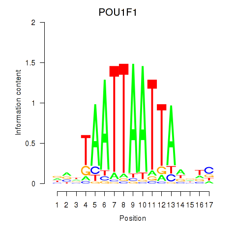SeqLogo of POU1F1