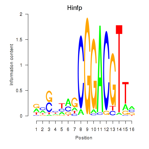 SeqLogo of Hinfp