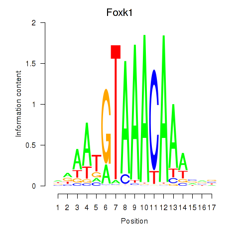 SeqLogo of Foxk1_Foxj1