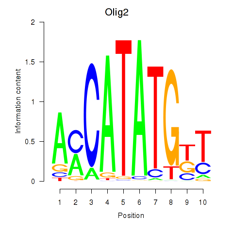 SeqLogo of Olig2_Olig3